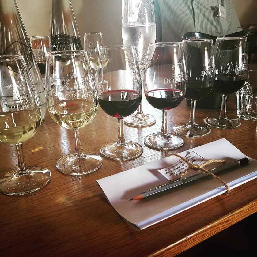 Boplaas Wine Tasting South Africa