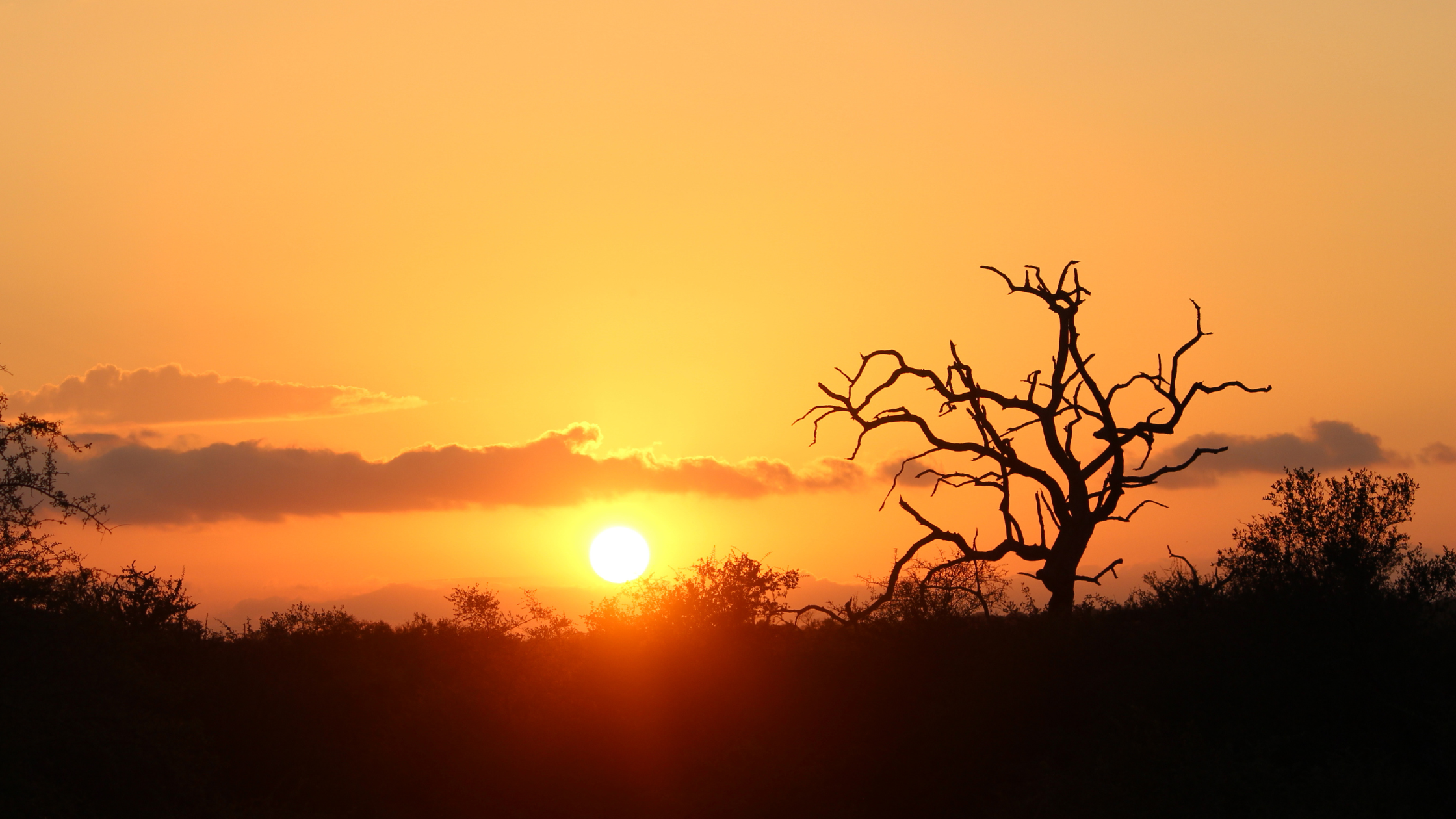 Kruger National Park at Sunset